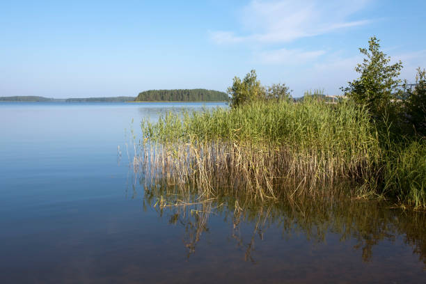 istock Summer scenery, Lappeenranta Finland 1170904695