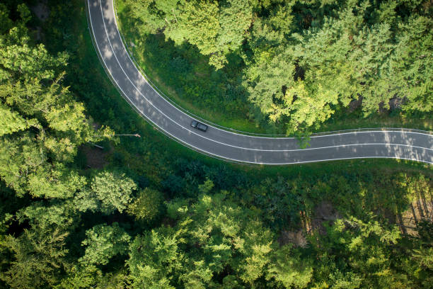 istock Road curve in the forest - aerial view 1170910511