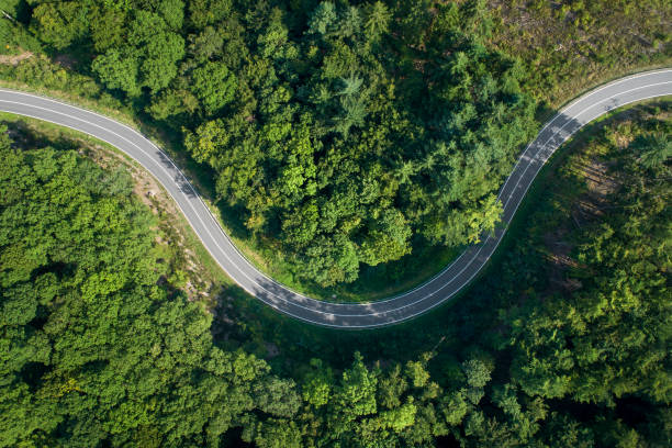 istock Road curve in the forest - aerial view 1170910544
