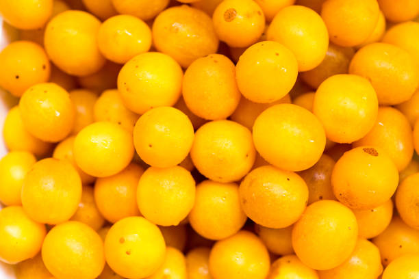 freshly picked wild mirabelles