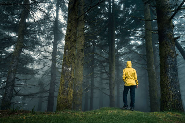 istock Traveler looking to a forest 1170911622