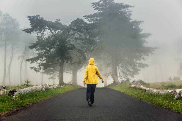 istock Walking on a foggy road 1170911626