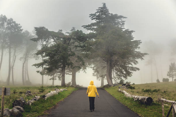 istock Walking on a foggy road 1170911630