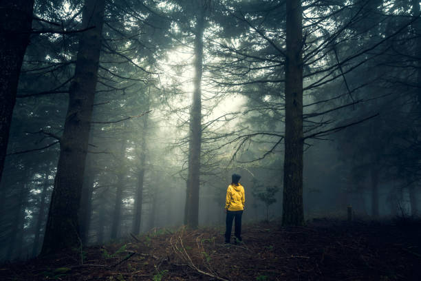 istock Traveler looking to a forest 1170911634