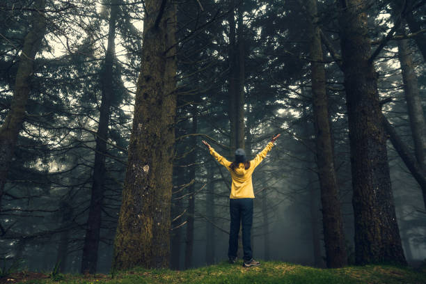 istock Female enjoying the nature 1170911638