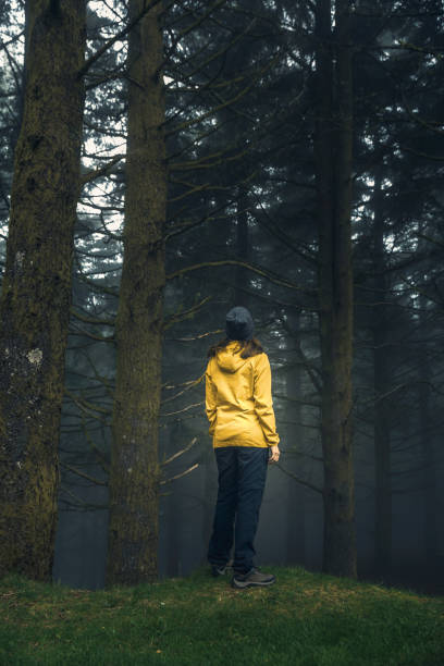 istock Traveler looking to a forest 1170911643