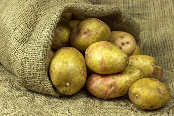 istock potato in a bag on burlap 1170912700