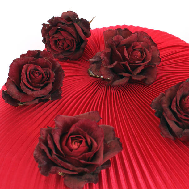 istock Dried roses on a white background 1170913581