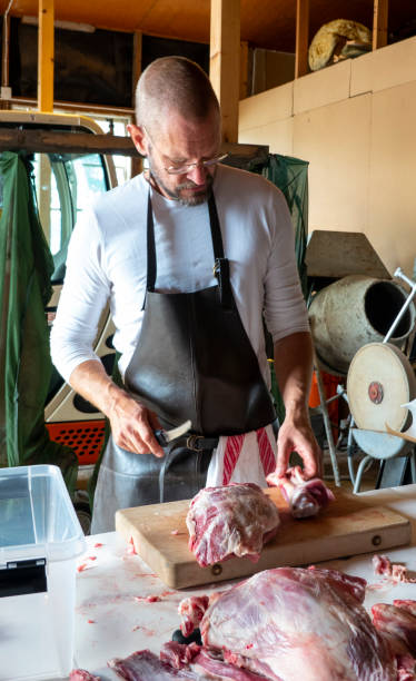 istock Mid adult man with beard cutting up recently slaughtered lamb. 1170914193