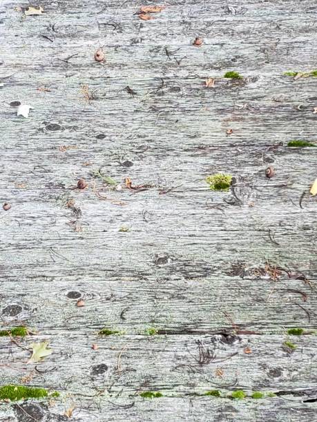 istock Wood plank natural background 1170916908