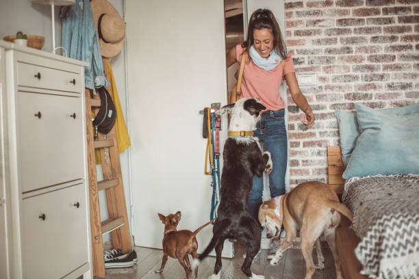 istock Dogs waiting for pet sitter 1170918361