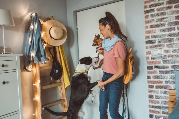 istock Dogs waiting for pet sitter 1170918728