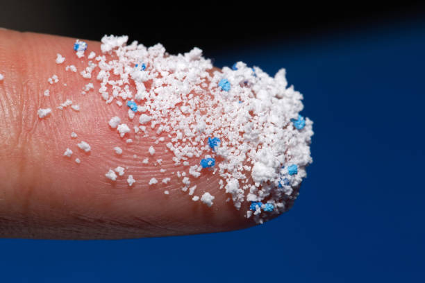 Small Plastic pellets on the finger.Micro plastic.air pollution Small Plastic pellets on the finger.Micro plastic.air pollution microplastic photos stock pictures, royalty-free photos & images