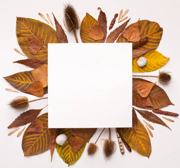 istock Autumn Herbarium of fallen leaves making square frame 1170924764
