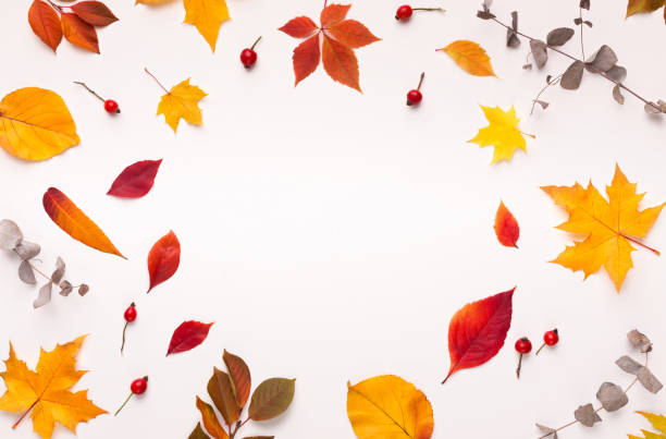 istock Colorful fallen leaves forming round frame for promotion 1170925307