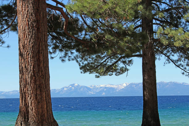 istock Lake Tahoe trees, mountains, with crystal clear waters 1170926490