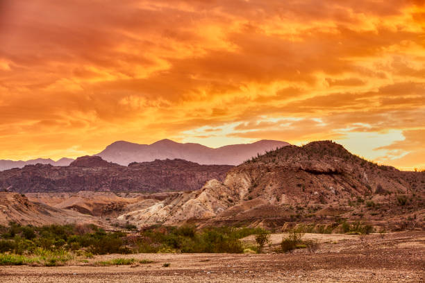istock Sunrise at Big Bend National Park 1170929431