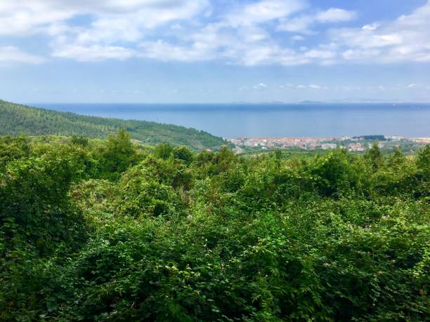 istock summer nature green forest clouds sea skyline landscape 1170931486