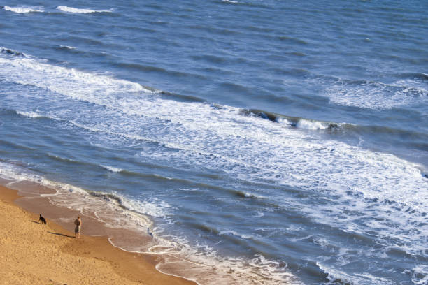 istock Man with a dog walking on the beach 1170934525