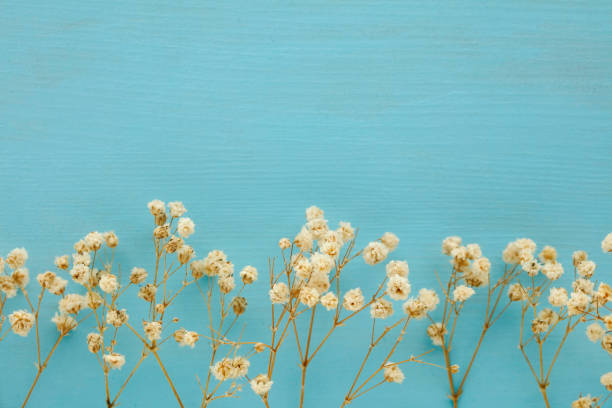 Flower background for holidays. Flat lay style. Copy space. Vintage