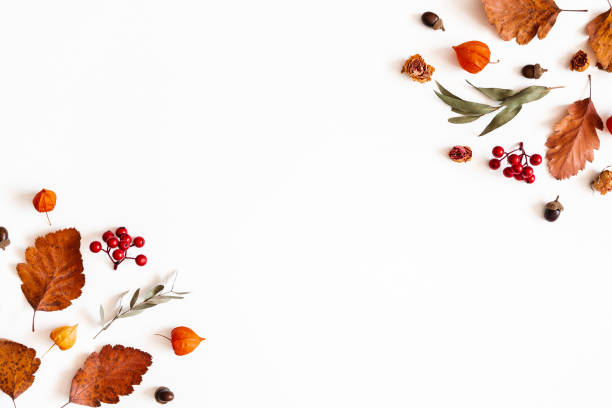 istock Autumn composition. Physalis flowers, eucalyptus leaves, rowan berries on white background. Autumn, fall, thanksgiving day concept. Flat lay, top view, copy space 1170936833