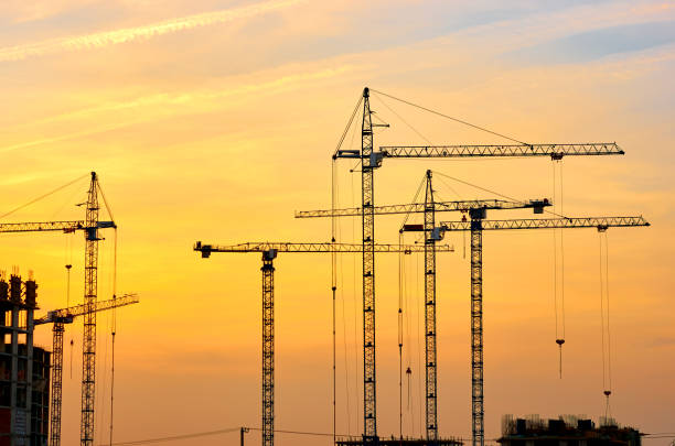 istock Crane silhouettes at yellow sky sunset 1170937287