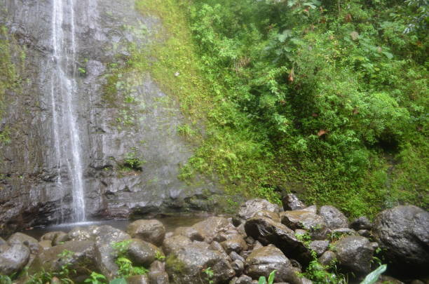istock Manoa Falls Oahu Island Hawaii USA 1170937310