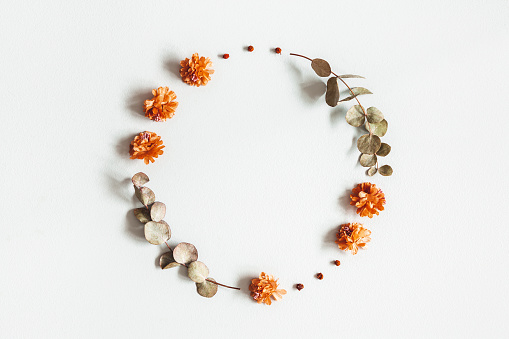 Autumn composition. Wreath made of dried flowers, eucalyptus leaves, berries on gray background. Autumn, fall, thanksgiving day concept. Flat lay, top view, copy space