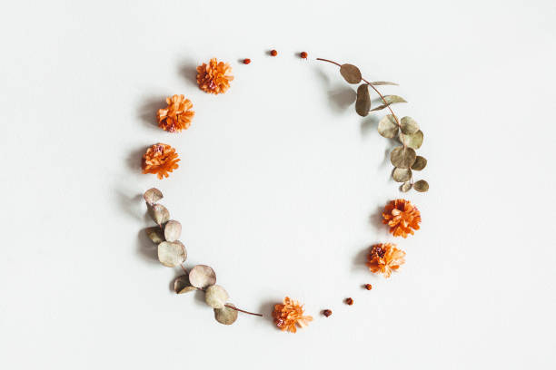 Autumn composition. Wreath made of dried flowers, eucalyptus leaves, berries on gray background. Autumn, fall, thanksgiving day concept. Flat lay, top view, copy space Autumn composition. Wreath made of dried flowers, eucalyptus leaves, berries on gray background. Autumn, fall, thanksgiving day concept. Flat lay, top view, copy space eucalyptus tree photos stock pictures, royalty-free photos & images