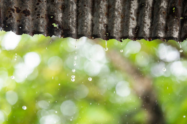 rain drops dipping from old zinc roof with blur green nature background
