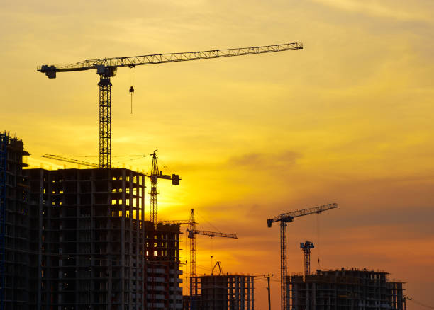 istock Crane silhouettes at yellow sky sunset 1170939562