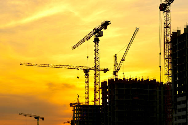 istock Crane silhouettes at yellow sky sunset 1170942708