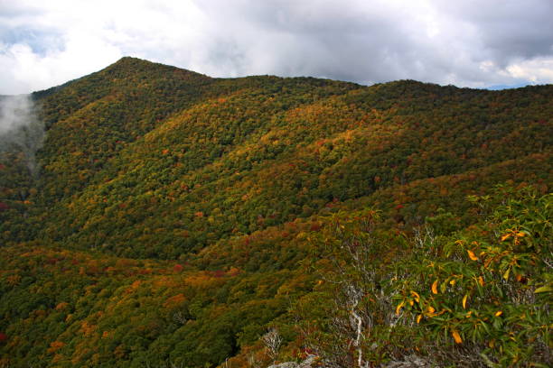 istock Pinnacle Park, in Sylva, North Carolina. 1170945045