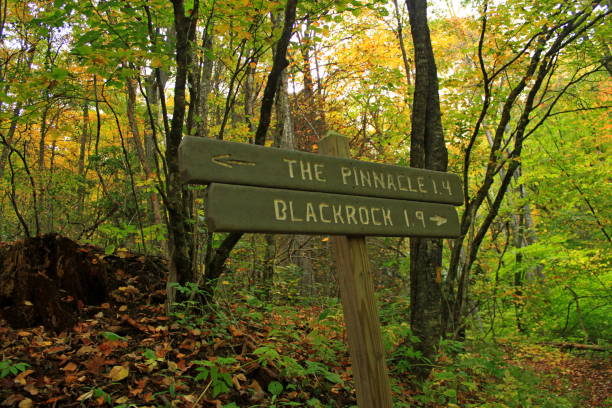 istock Pinnacle Park, in Sylva, North Carolina. 1170945149
