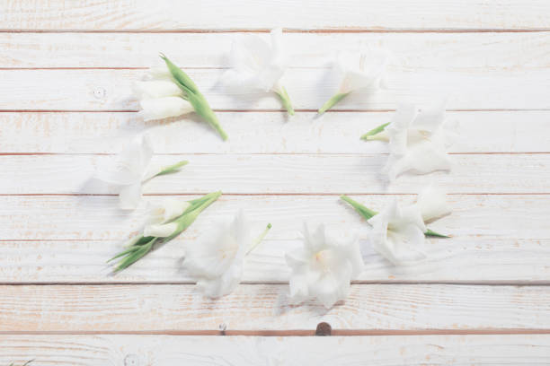 istock white gladiolus  on white wooden background 1170949377