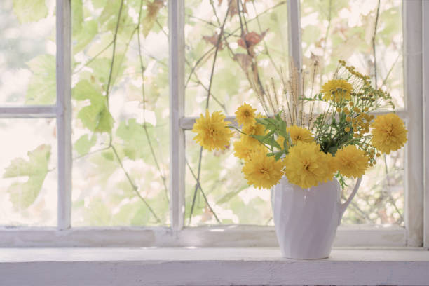 istock yellow flowers in white jug on windowsill 1170949379