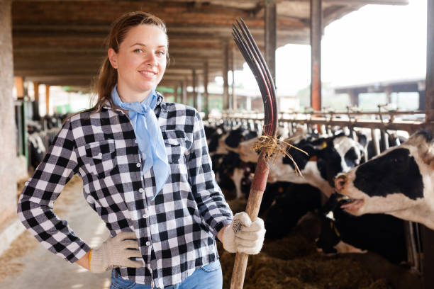 istock Female farmer on dairy farm 1170949465