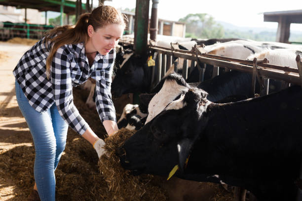 istock Woman working on dairy farm 1170949492