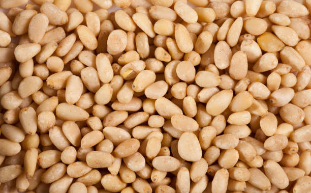 istock Heap pine nuts on wooden board 1170950779