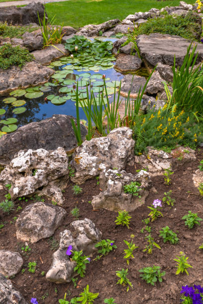 istock small beautiful garden with an artificial pond in summer 1170951076