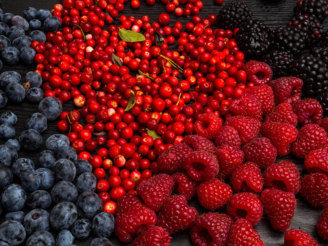super antioxidants. superfood. mix of fresh berries, rich with resveratrol, vitamins, raw food ingredients. nutrition background, nutrient-rich foods are good for your heart and brain. Detox