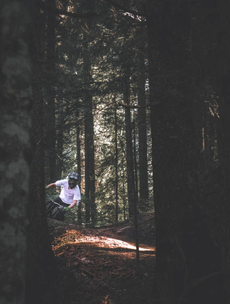 istock Mountain biker in French Alps 1170955115