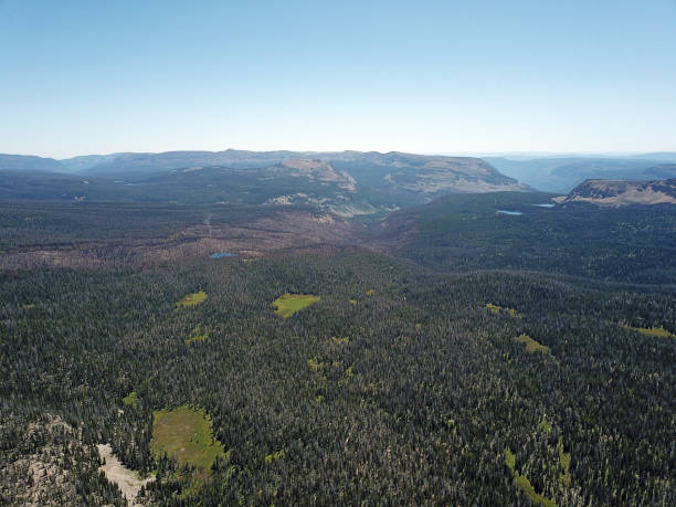 istock Uinta Mountains Utah Pass Lake Mirror Lake Wilderness 1170958911