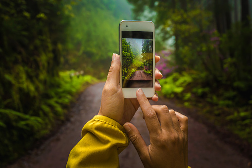 Woman taking a photo to the forest with her phone