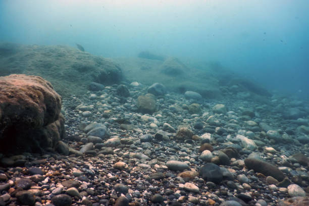 istock Underwater Rocks and Pebbles on the Seabed 1170959289