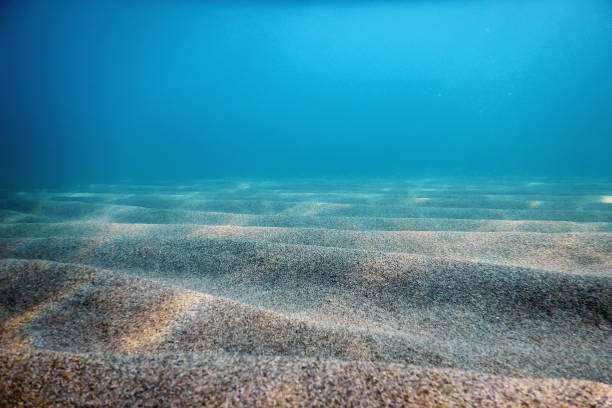 Sandy Sea Bottom Underwater Background, Underwater Blue Ocean