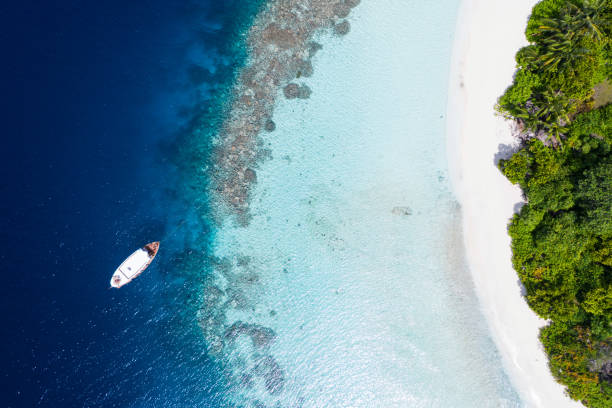 istock Tropical Island in the Ocean 1170960395