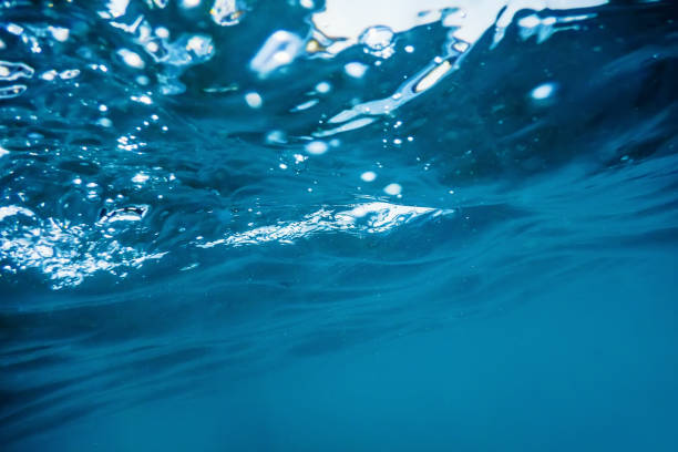 istock Underwater view of the sea surface. 1170960634