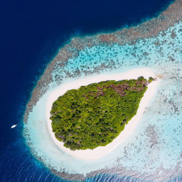 Tropical Island in the Ocean Tropical Island in the Ocean, Maldives atoll stock pictures, royalty-free photos & images
