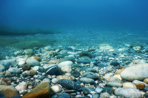 istock Underwater Rocks and Pebbles on the Seabed 1170961392